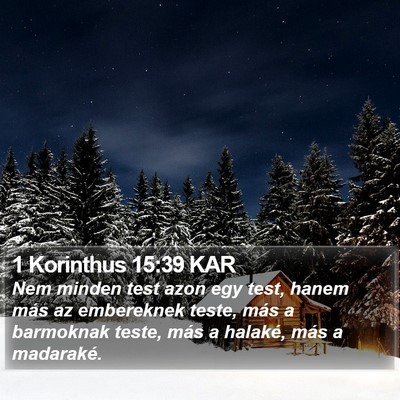 1 Korinthus 15:39 KAR Bible Verse Image
