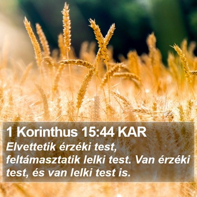 1 Korinthus 15:44 KAR Bible Verse Image