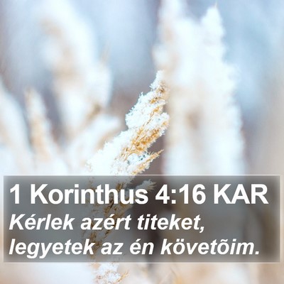 1 Korinthus 4:16 KAR Bible Verse Image