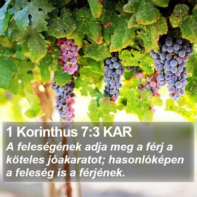 1 Korinthus 7:3 KAR Bible Verse Image