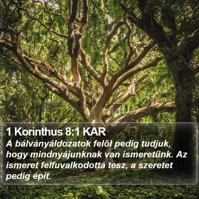 1 Korinthus 8:1 KAR Bible Verse Image