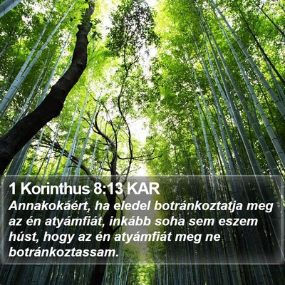 1 Korinthus 8:13 KAR Bible Verse Image