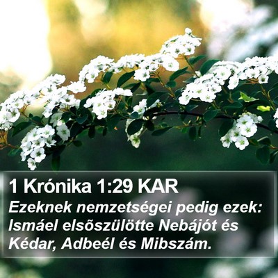 1 Krónika 1:29 KAR Bible Verse Image