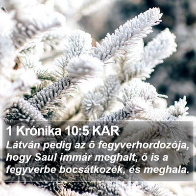 1 Krónika 10:5 KAR Bible Verse Image