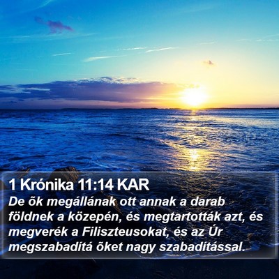 1 Krónika 11:14 KAR Bible Verse Image