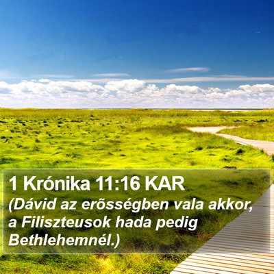 1 Krónika 11:16 KAR Bible Verse Image