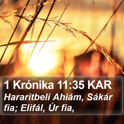1 Krónika 11:35 KAR Bible Verse Image