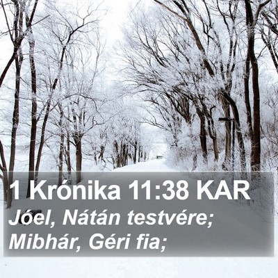 1 Krónika 11:38 KAR Bible Verse Image