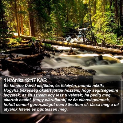 1 Krónika 12:17 KAR Bible Verse Image