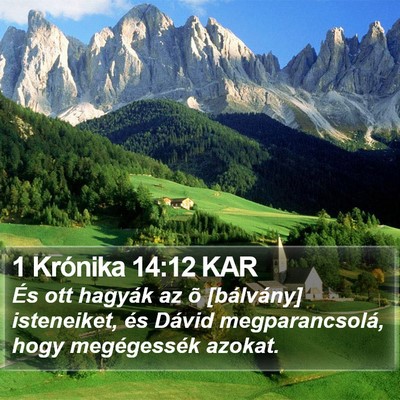 1 Krónika 14:12 KAR Bible Verse Image