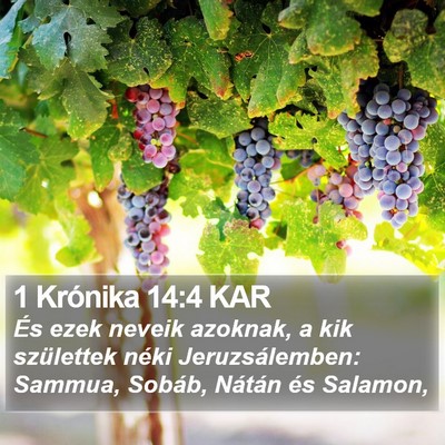 1 Krónika 14:4 KAR Bible Verse Image