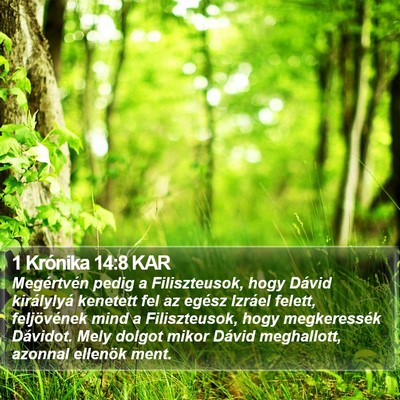 1 Krónika 14:8 KAR Bible Verse Image