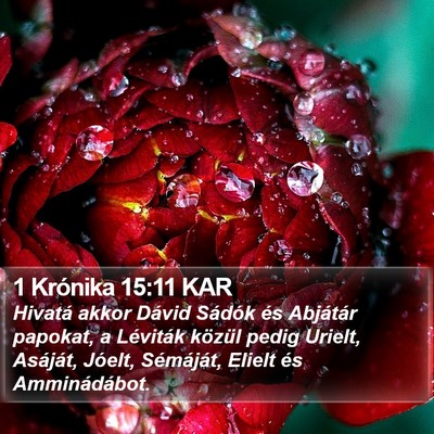 1 Krónika 15:11 KAR Bible Verse Image