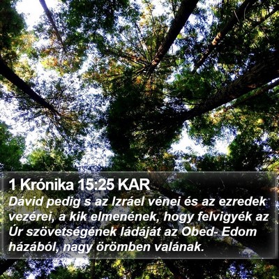 1 Krónika 15:25 KAR Bible Verse Image