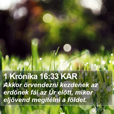1 Krónika 16:33 KAR Bible Verse Image
