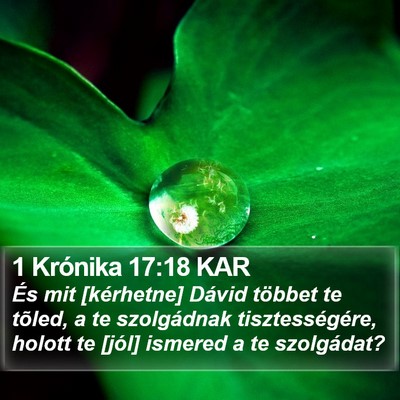 1 Krónika 17:18 KAR Bible Verse Image