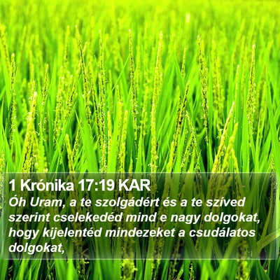 1 Krónika 17:19 KAR Bible Verse Image
