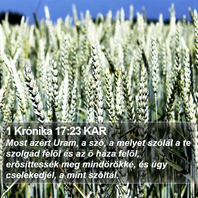 1 Krónika 17:23 KAR Bible Verse Image