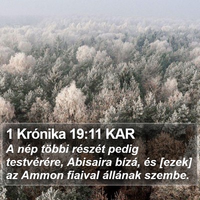 1 Krónika 19:11 KAR Bible Verse Image