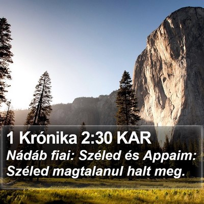 1 Krónika 2:30 KAR Bible Verse Image