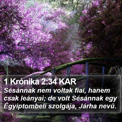 1 Krónika 2:34 KAR Bible Verse Image