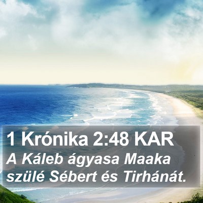 1 Krónika 2:48 KAR Bible Verse Image