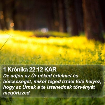 1 Krónika 22:12 KAR Bible Verse Image