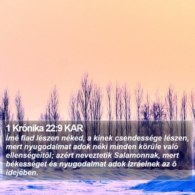 1 Krónika 22:9 KAR Bible Verse Image