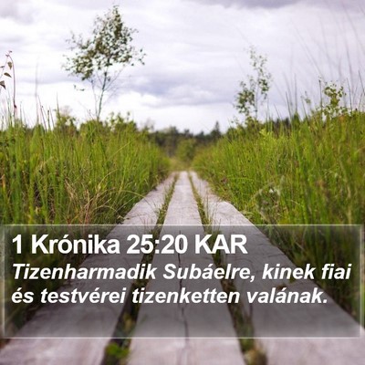 1 Krónika 25:20 KAR Bible Verse Image