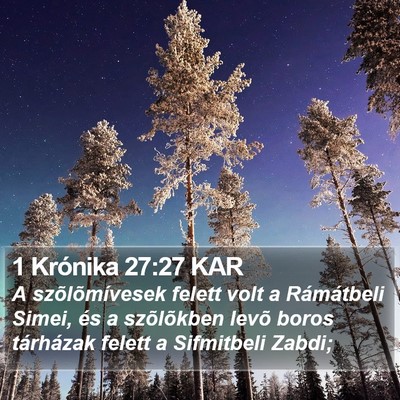1 Krónika 27:27 KAR Bible Verse Image