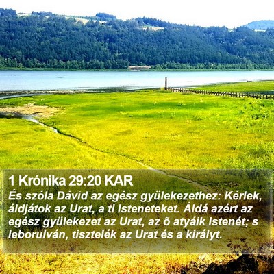 1 Krónika 29:20 KAR Bible Verse Image