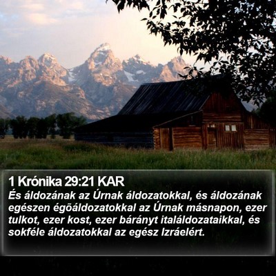 1 Krónika 29:21 KAR Bible Verse Image