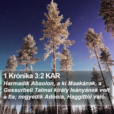 1 Krónika 3:2 KAR Bible Verse Image