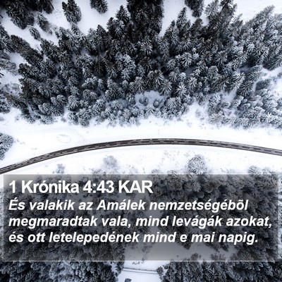 1 Krónika 4:43 KAR Bible Verse Image