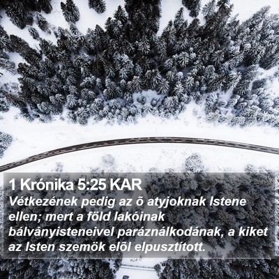 1 Krónika 5:25 KAR Bible Verse Image