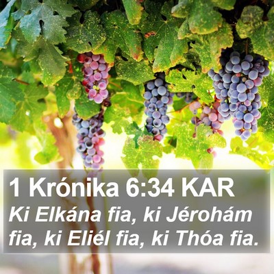 1 Krónika 6:34 KAR Bible Verse Image