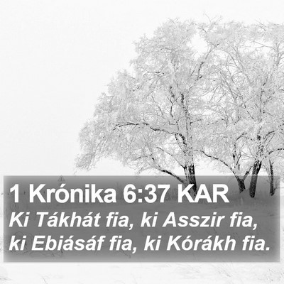 1 Krónika 6:37 KAR Bible Verse Image