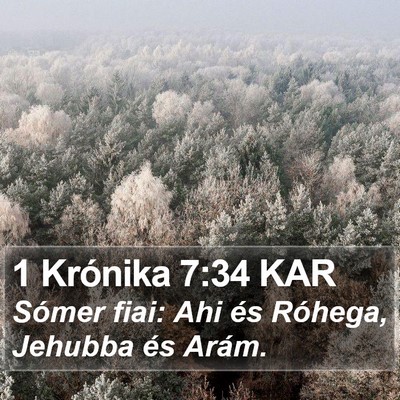 1 Krónika 7:34 KAR Bible Verse Image
