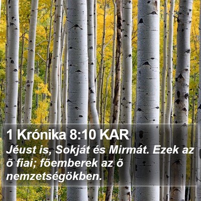 1 Krónika 8:10 KAR Bible Verse Image