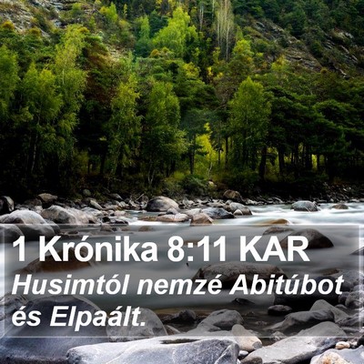 1 Krónika 8:11 KAR Bible Verse Image