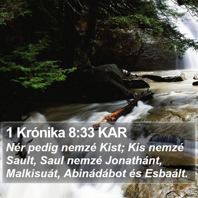 1 Krónika 8:33 KAR Bible Verse Image