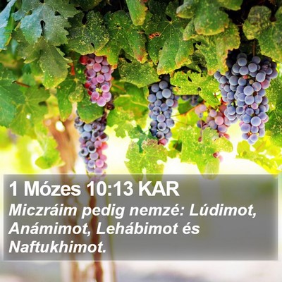 1 Mózes 10:13 KAR Bible Verse Image
