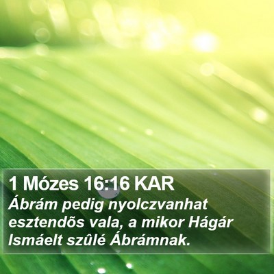 1 Mózes 16:16 KAR Bible Verse Image