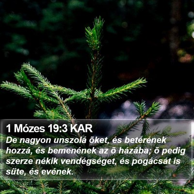 1 Mózes 19:3 KAR Bible Verse Image