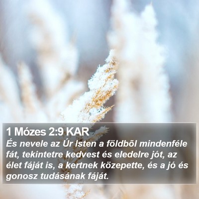 1 Mózes 2:9 KAR Bible Verse Image