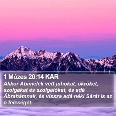 1 Mózes 20:14 KAR Bible Verse Image