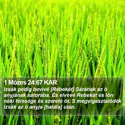1 Mózes 24:67 KAR Bible Verse Image