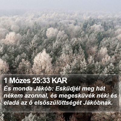 1 Mózes 25:33 KAR Bible Verse Image