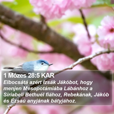 1 Mózes 28:5 KAR Bible Verse Image
