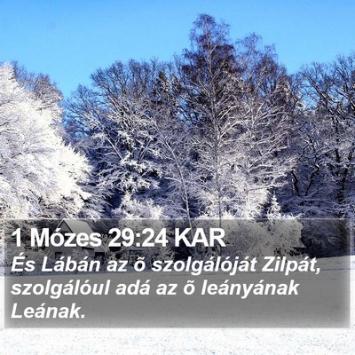 1 Mózes 29:24 KAR Bible Verse Image
